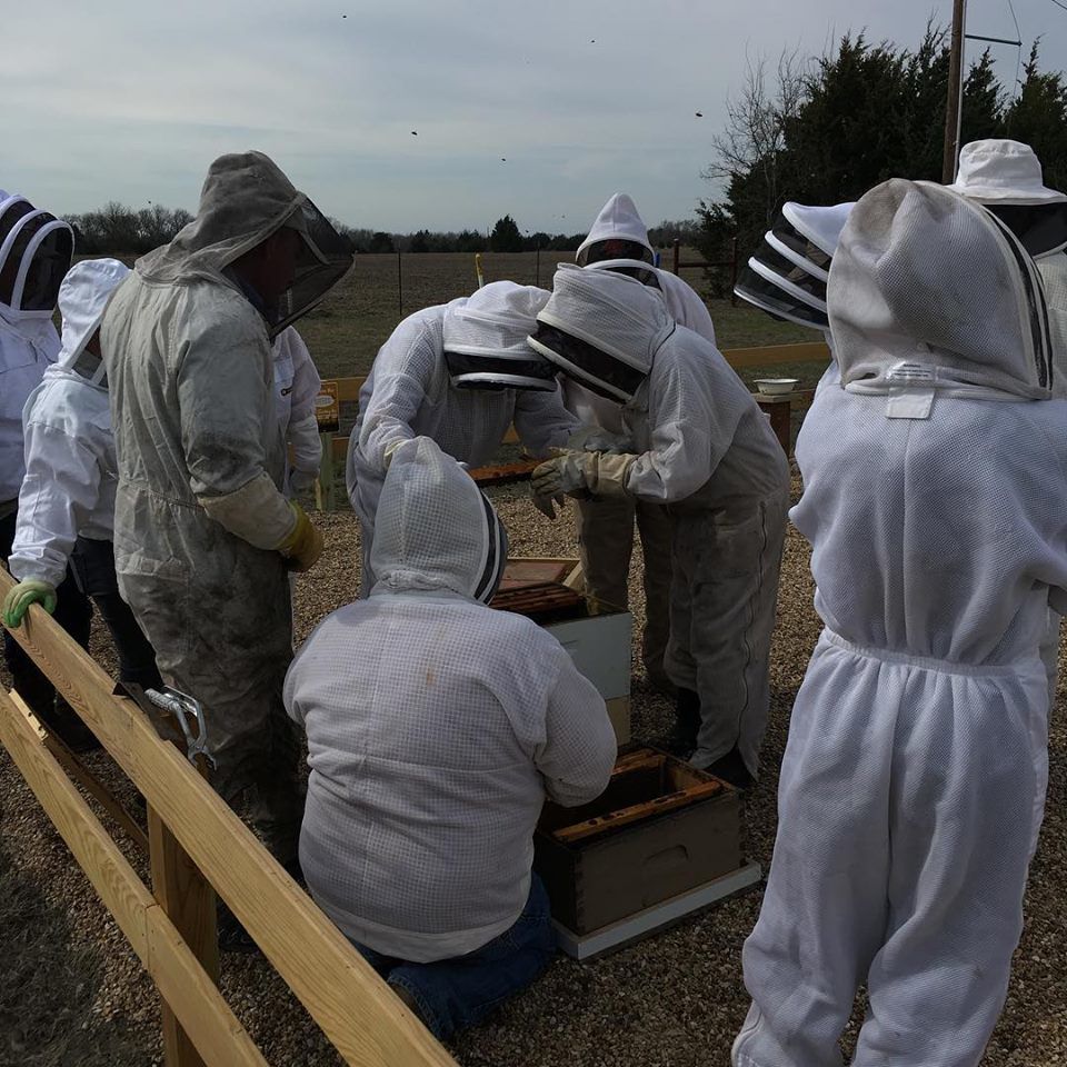 Texas Bee Supply